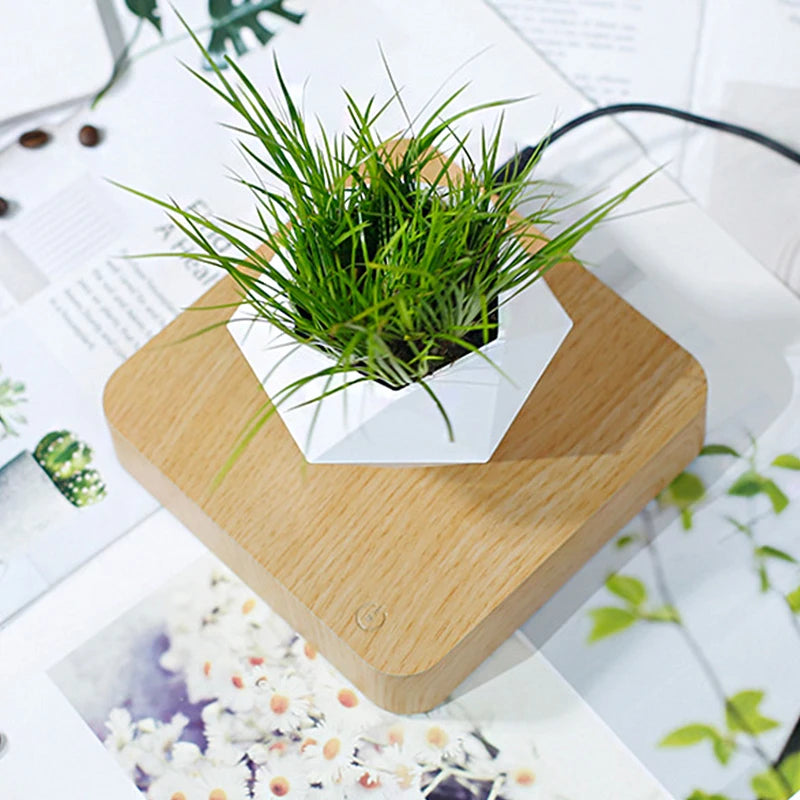 S5d4d3a205ca24c7e84fae055fbc3c22eu